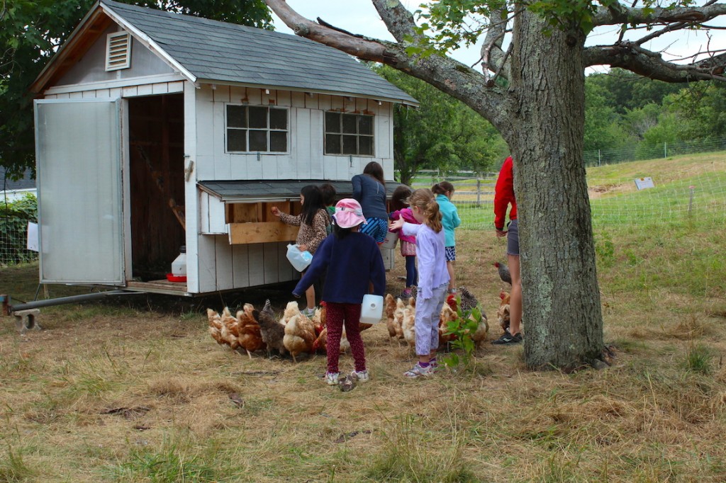 Kids do chicken chores during summer program
